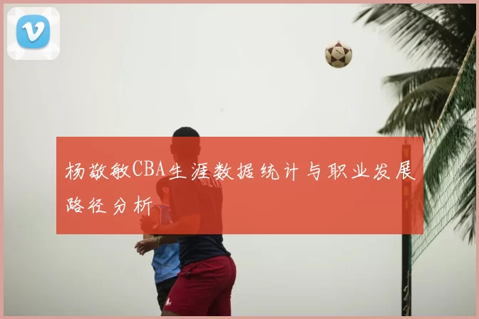 杨敬敏CBA生涯数据统计与职业发展路径分析