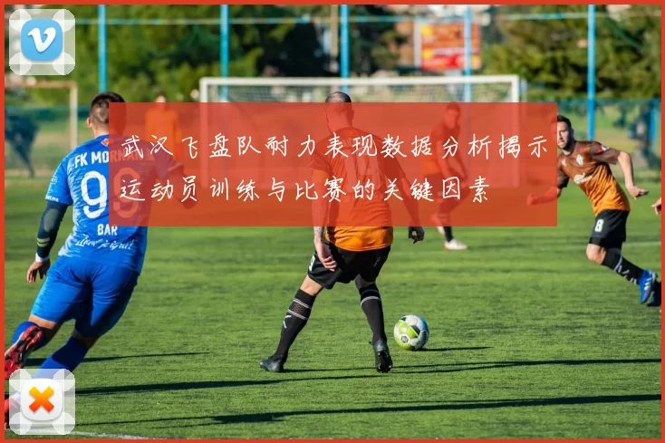 武汉飞盘队耐力表现数据分析揭示运动员训练与比赛的关键因素