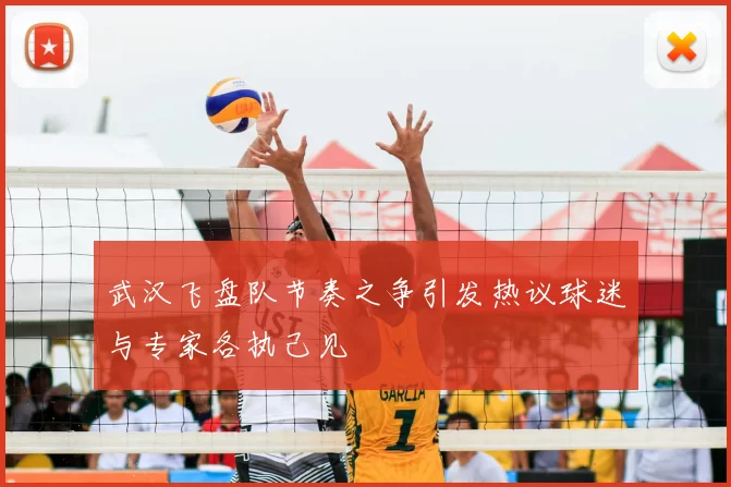 武汉飞盘队节奏之争引发热议球迷与专家各执己见