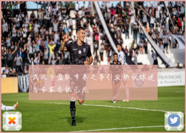 武汉飞盘队节奏之争引发热议球迷与专家各执己见