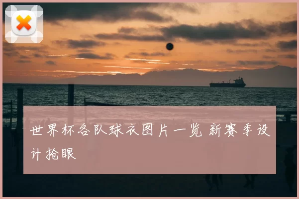 世界杯各队球衣图片一览 新赛季设计抢眼