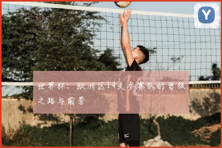 世界杯:欧洲区14支参赛队的晋级之路与前景